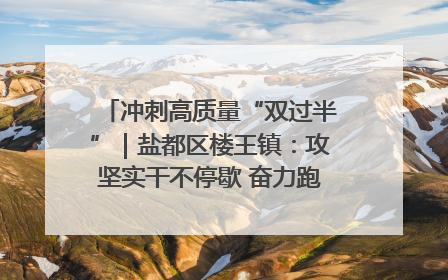 冲刺高质量“双过半”｜盐都区楼王镇：攻坚实干不停歇 奋力跑赢“上半场”
