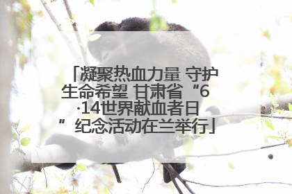 凝聚热血力量 守护生命希望 甘肃省“6 ·14世界献血者日”纪念活动在兰举行