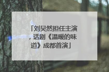 刘昊然担任主演，话剧《温暖的味道》成都首演