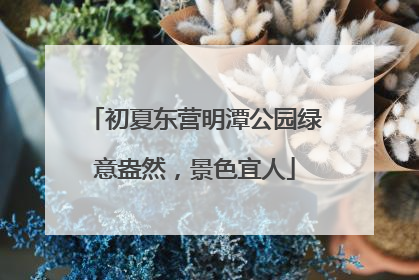 初夏东营明潭公园绿意盎然，景色宜人