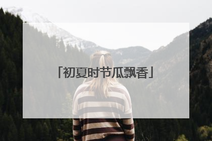 初夏时节瓜飘香