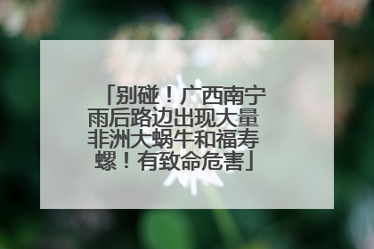 别碰！广西南宁雨后路边出现大量非洲大蜗牛和福寿螺！有致命危害