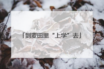 到麦田里“上学”去