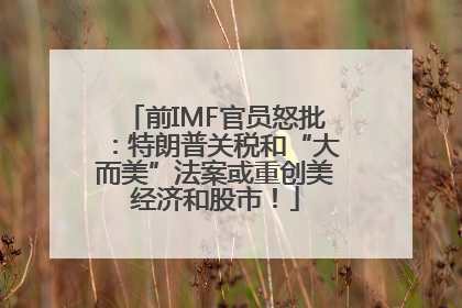 前IMF官员怒批：特朗普关税和“大而美”法案或重创美经济和股市！