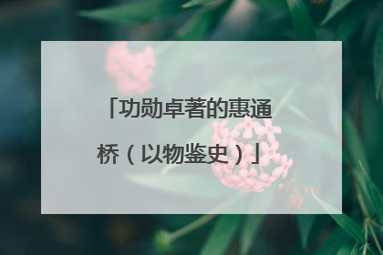 功勋卓著的惠通桥（以物鉴史）