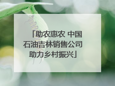 助农惠农 中国石油吉林销售公司助力乡村振兴
