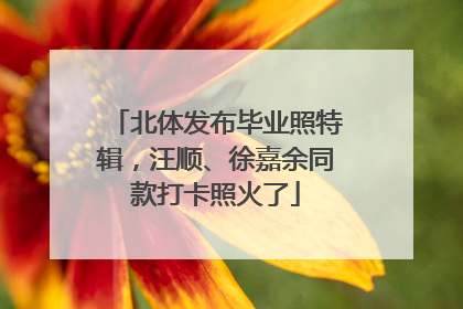 北体发布毕业照特辑，汪顺、徐嘉余同款打卡照火了