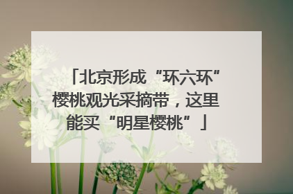 北京形成“环六环”樱桃观光采摘带，这里能买“明星樱桃”