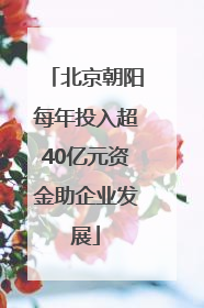 北京朝阳每年投入超40亿元资金助企业发展