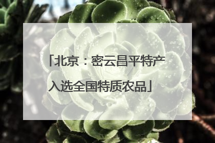 北京：密云昌平特产入选全国特质农品