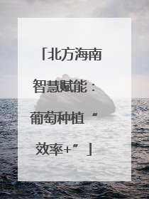 北方海南智慧赋能：葡萄种植“效率+”