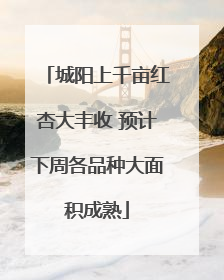城阳上千亩红杏大丰收 预计下周各品种大面积成熟