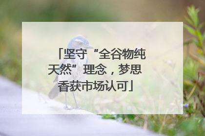 坚守“全谷物纯天然”理念，梦思香获市场认可
