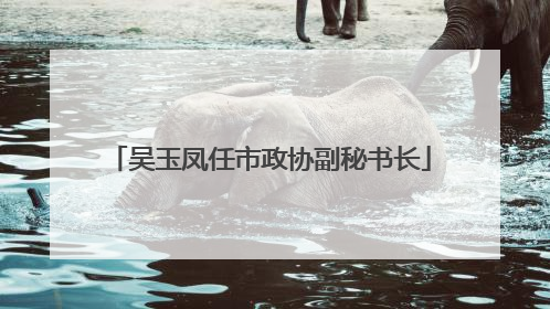 吴玉凤任市政协副秘书长