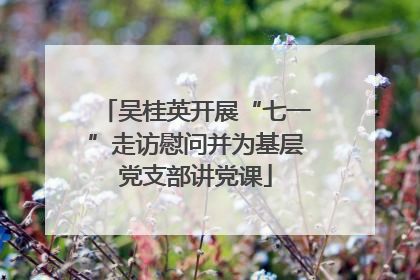 吴桂英开展“七一”走访慰问并为基层党支部讲党课