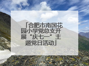 合肥市南国花园小学党总支开展“庆七一”主题党日活动