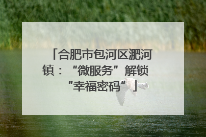 合肥市包河区淝河镇:“微服务”解锁“幸福密码”