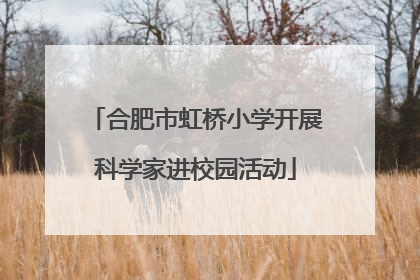 合肥市虹桥小学开展科学家进校园活动