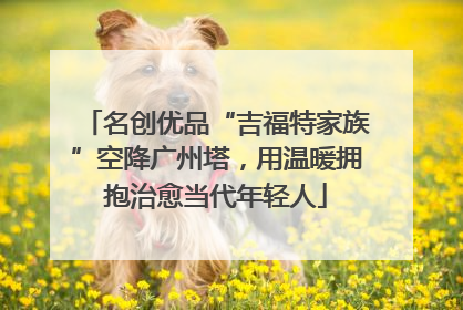 名创优品“吉福特家族”空降广州塔，用温暖拥抱治愈当代年轻人