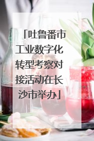 吐鲁番市工业数字化转型考察对接活动在长沙市举办