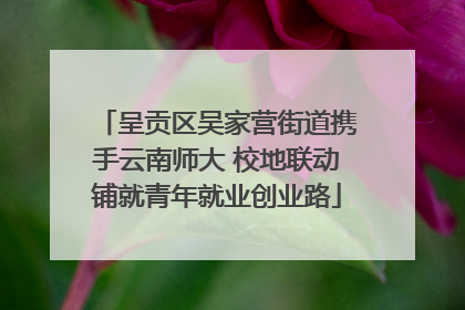 呈贡区吴家营街道携手云南师大 校地联动铺就青年就业创业路