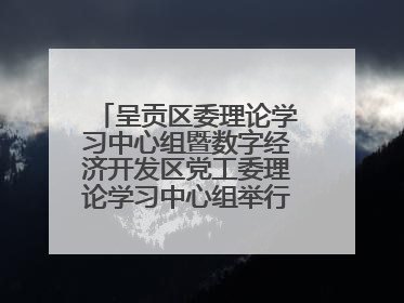 呈贡区委理论学习中心组暨数字经济开发区党工委理论学习中心组举行2025年第七次学习会议