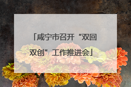 咸宁市召开“双回双创”工作推进会
