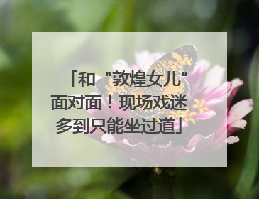 和“敦煌女儿”面对面！现场戏迷多到只能坐过道