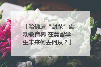 哈佛遭“封杀”震动教育界 在美留学生未来何去何从？