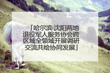 哈尔滨·沈阳两地退役军人服务协会跨区域全领域开展调研交流共绘协同发展