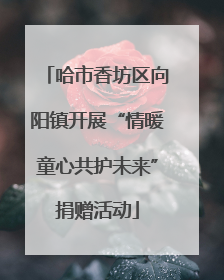 哈市香坊区向阳镇开展“情暖童心共护未来”捐赠活动
