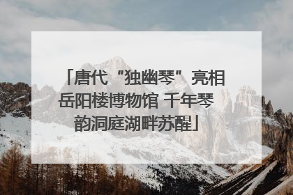 唐代“独幽琴”亮相岳阳楼博物馆 千年琴韵洞庭湖畔苏醒
