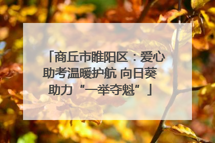 商丘市睢阳区：爱心助考温暖护航 向日葵助力“一举夺魁”