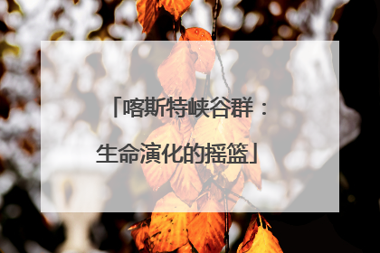 喀斯特峡谷群：生命演化的摇篮