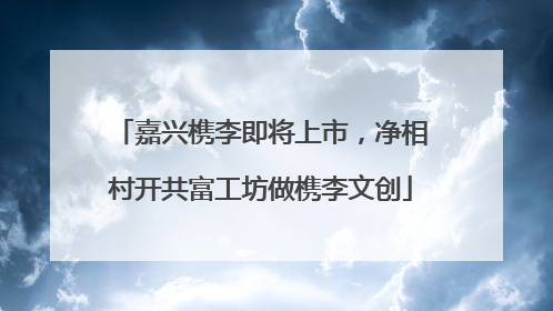 嘉兴槜李即将上市，净相村开共富工坊做槜李文创