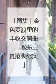 图集｜金色麦浪里的丰收交响曲——豫东三夏抢收纪实