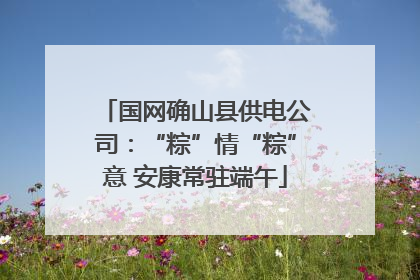 国网确山县供电公司：“粽”情“粽”意 安康常驻端午
