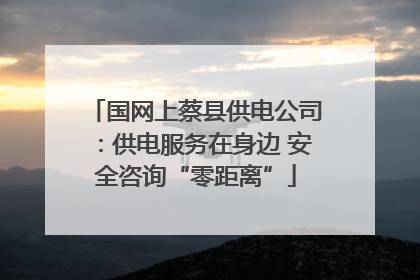 国网上蔡县供电公司：供电服务在身边 安全咨询“零距离”