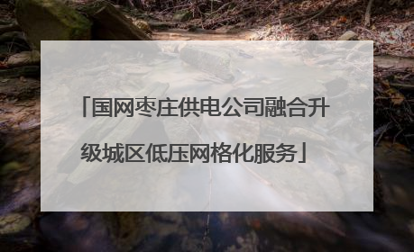 国网枣庄供电公司融合升级城区低压网格化服务