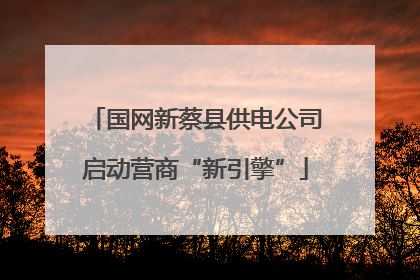 国网新蔡县供电公司启动营商“新引擎”
