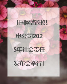 国网洛阳供电公司2025年社会责任发布会举行