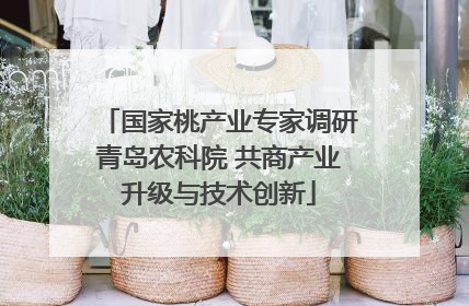 国家桃产业专家调研青岛农科院 共商产业升级与技术创新