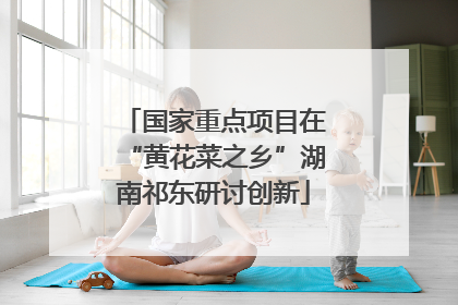 国家重点项目在“黄花菜之乡”湖南祁东研讨创新