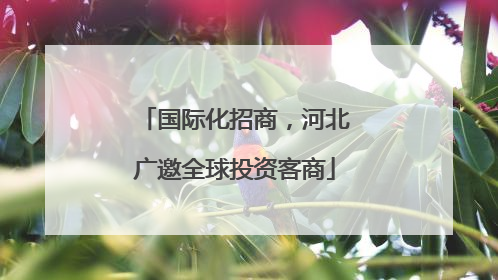 国际化招商，河北广邀全球投资客商