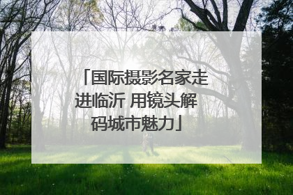 国际摄影名家走进临沂 用镜头解码城市魅力