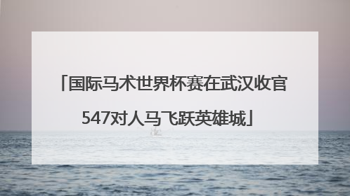 国际马术世界杯赛在武汉收官 547对人马飞跃英雄城