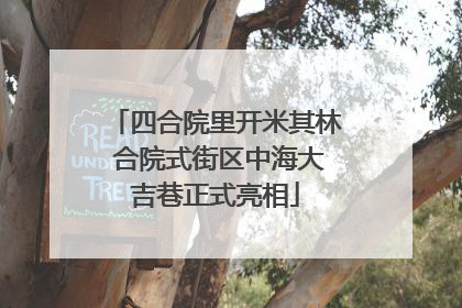 四合院里开米其林 合院式街区中海大吉巷正式亮相