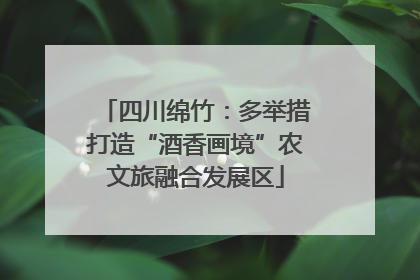 四川绵竹：多举措打造“酒香画境”农文旅融合发展区