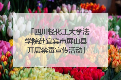 四川轻化工大学法学院赴宜宾市屏山县开展禁毒宣传活动