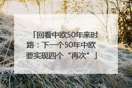 回看中欧50年来时路：下一个50年中欧要实现四个“再次”